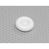 Заглушка кузова (днища) 2110 ф14 (БЕЛАЯ) Заглушка кузова (днища) 2110 ф14 (БЕЛАЯ)